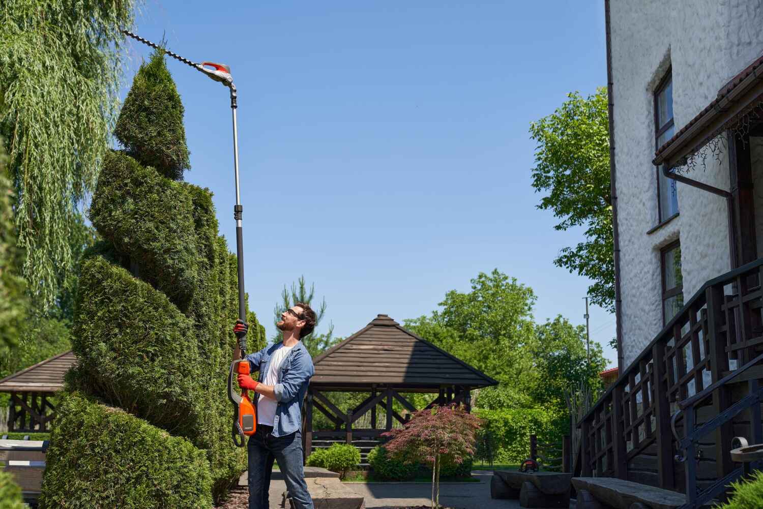 Tree Root Removal in Union, OR